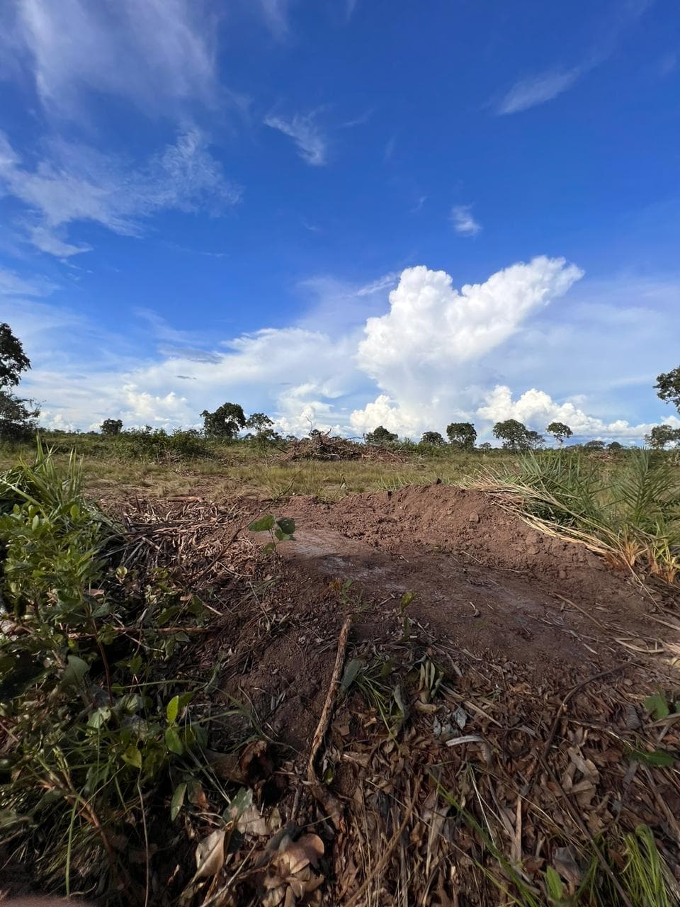 Arrendamento Cocalinho