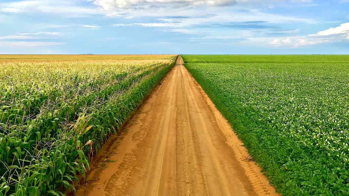 Vista aérea de fazenda de soja em larga escala no Brasil