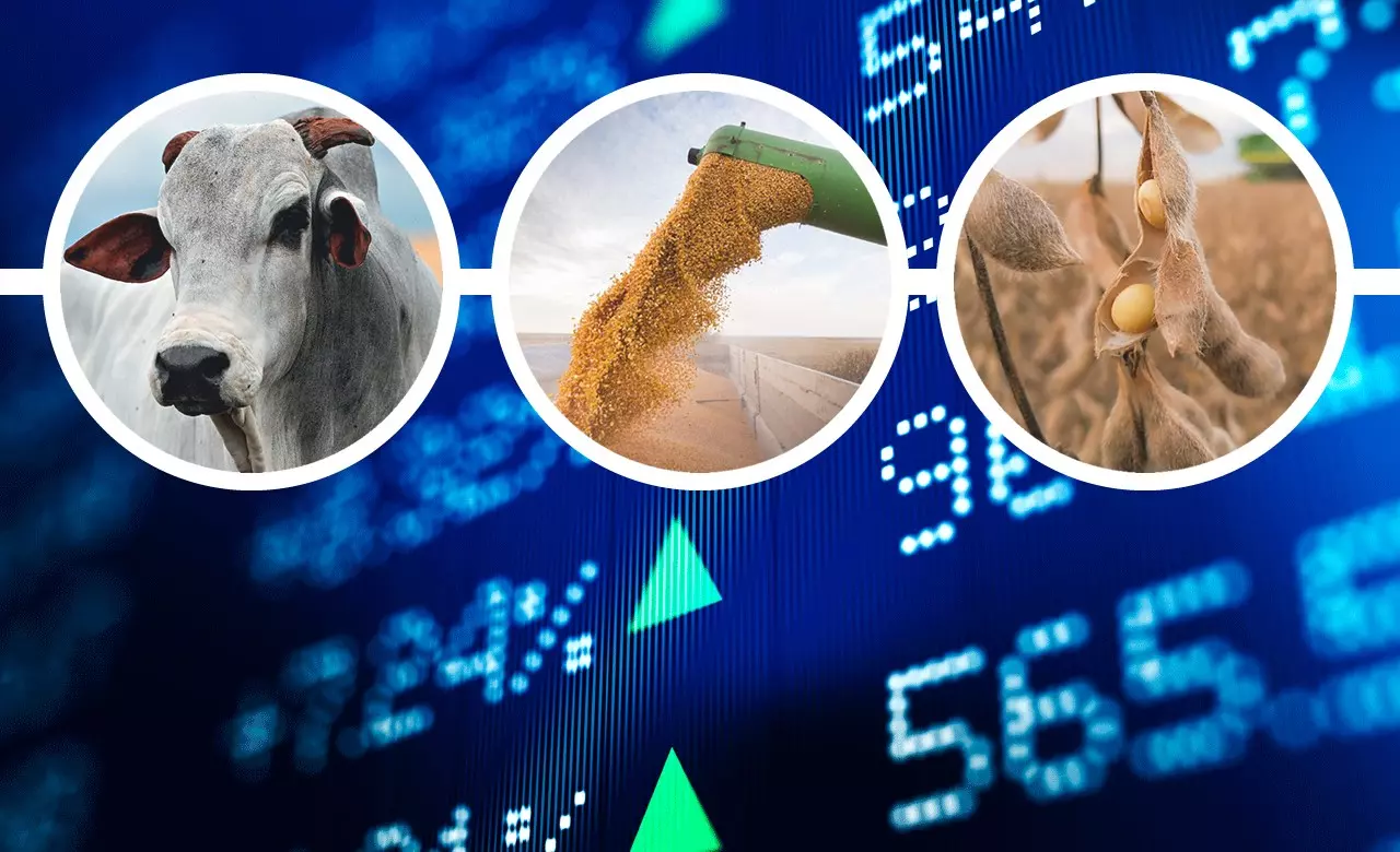 Lavoura de grãos em escala industrial vista aérea